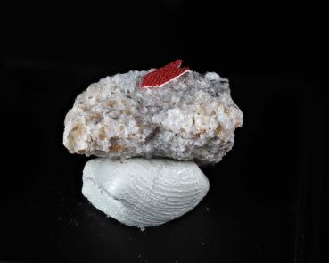 Stetindite-(Ce)